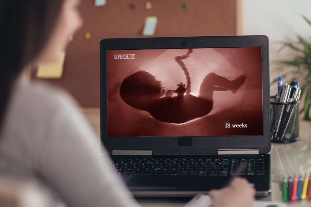 Ohio bill aims to ensure students in grades 3-12 see pro-life video
