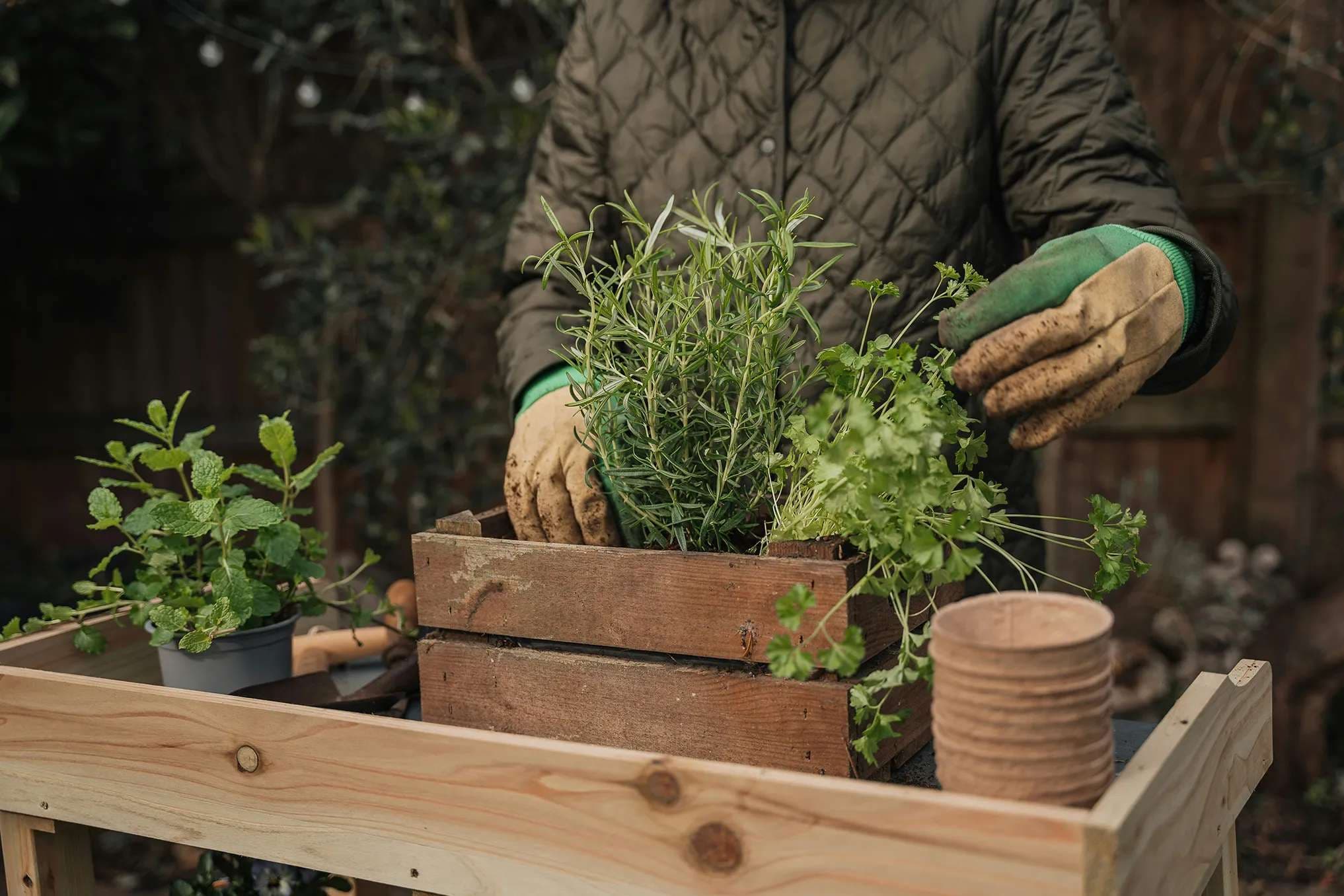 6 ways to ‘homestead’ without owning land, even in an apartment or home rental