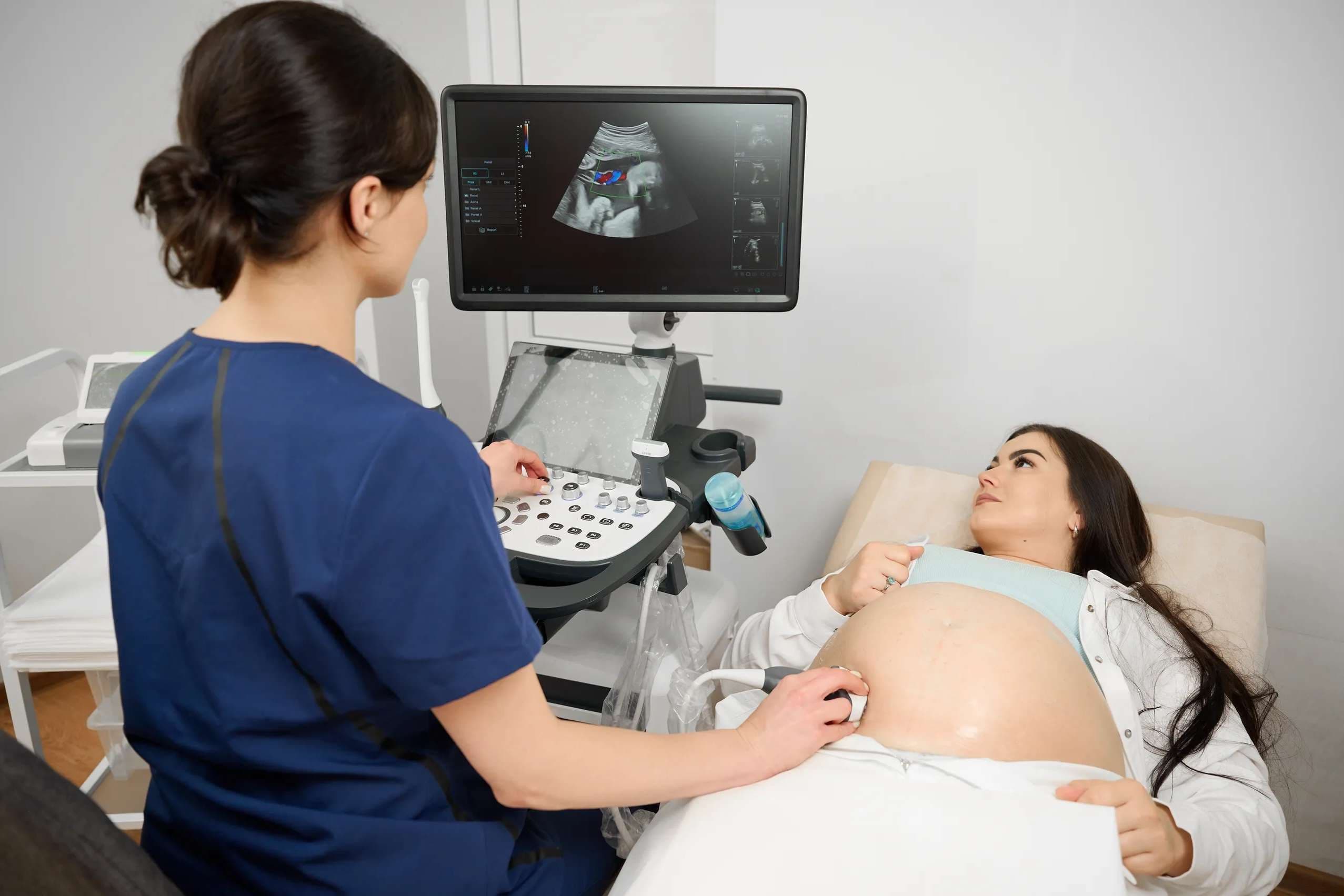 Appeals court dismisses Right to Life of Michigan’s challenge to state abortion law