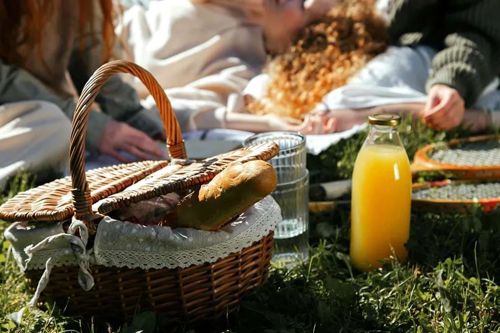 Summer sunset picnic dinners