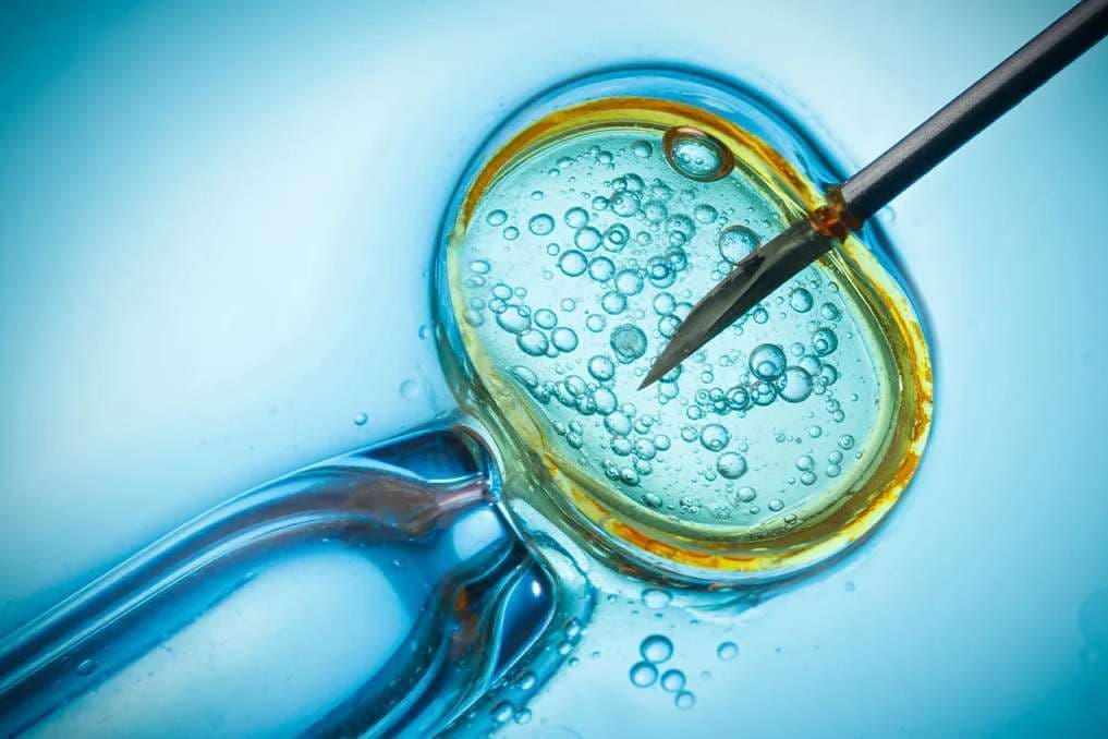 Op-ed: IVF is a real temptation for Catholics facing infertility, but not the answer