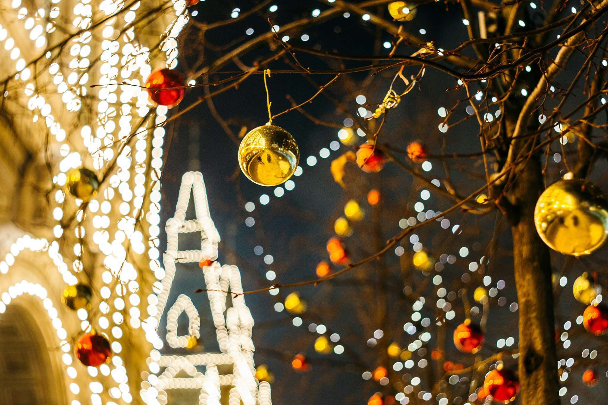 The people who walked in darkness: The origins of Christmas lights