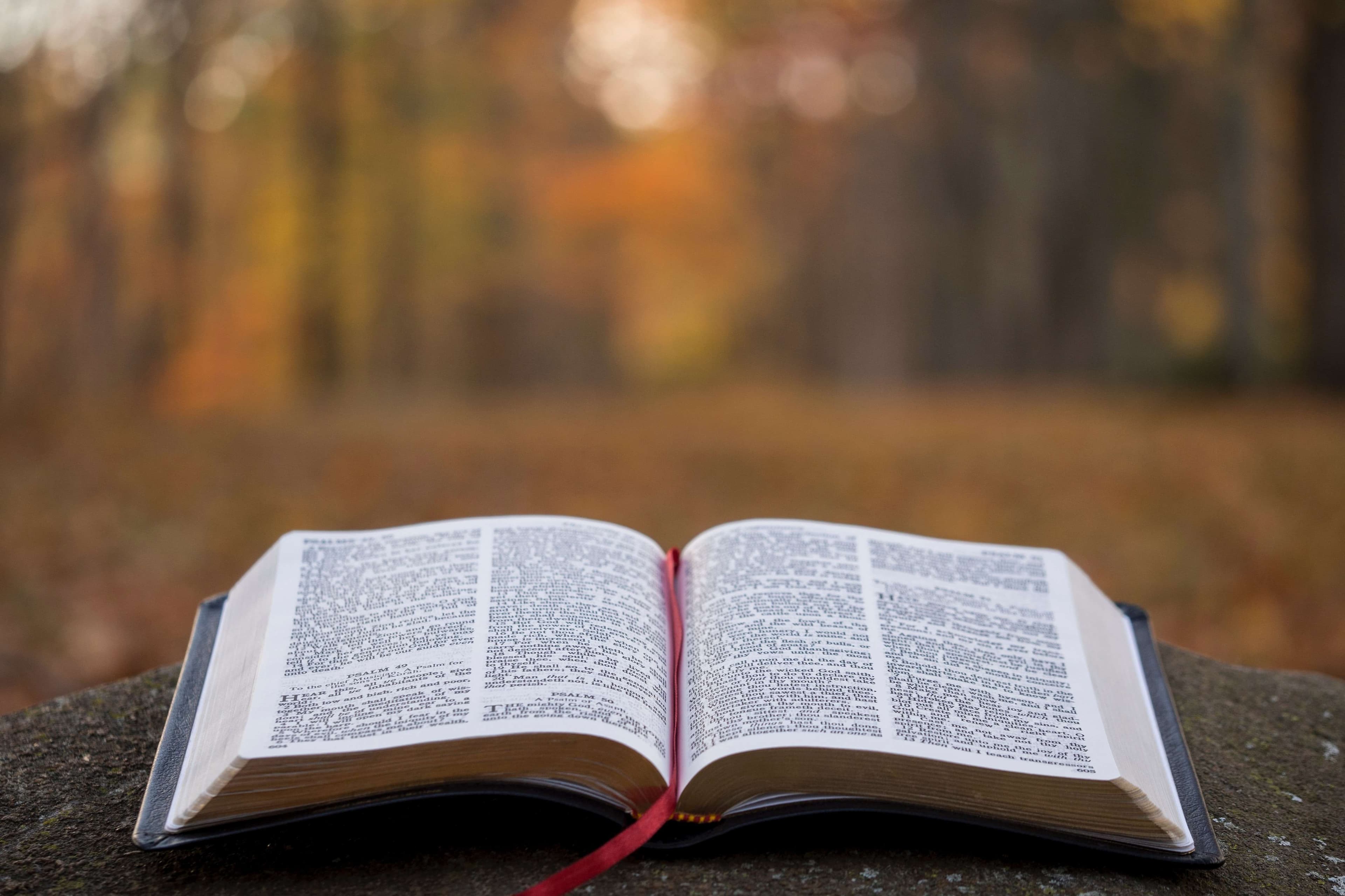 New apologetics app from Magis Center uses AI to answer theology questions