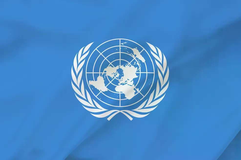 Human rights analyst warns of censorship after UN agency aims to quash abortion ‘misinformation’