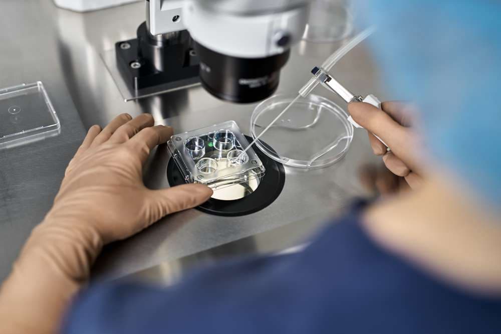 Florida couple sues IVF clinic after mother delivers wrong baby