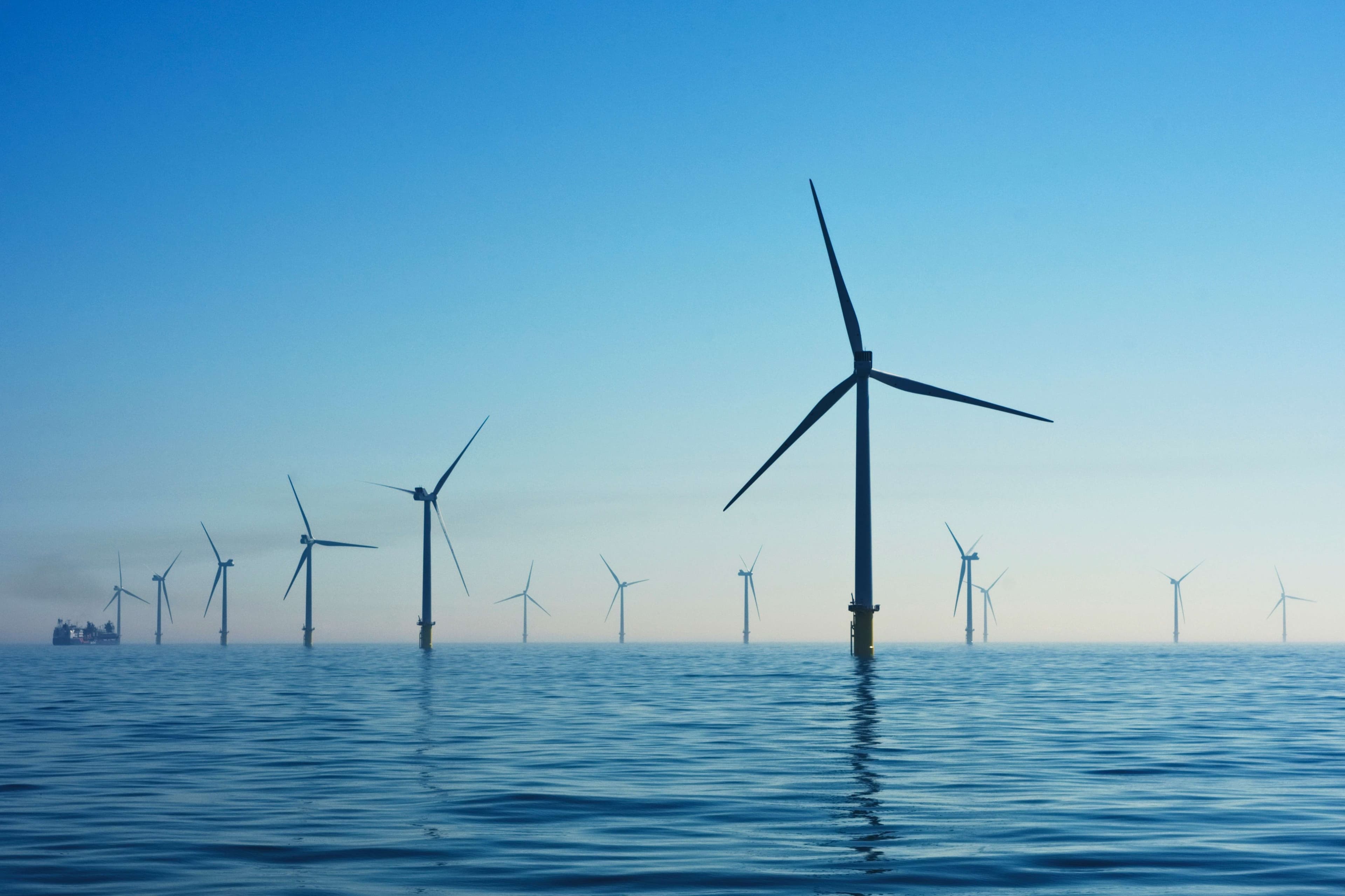Government pauses 5 off-shore wind farms