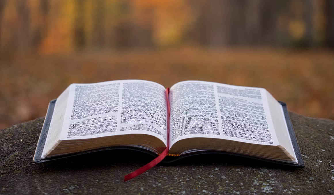 Catholic news outlets spotlight problems of blasphemy, coarse language