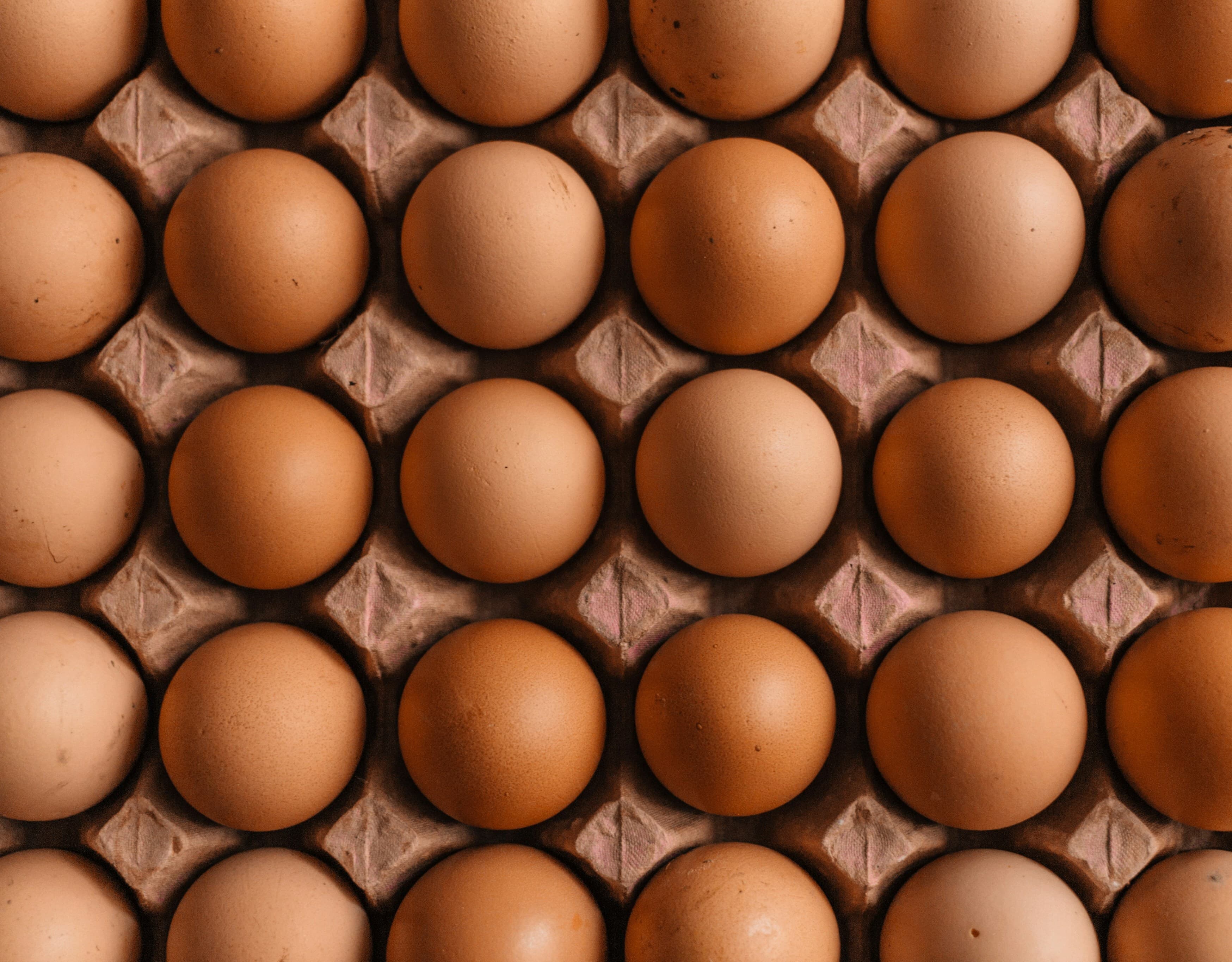 Trump admin’s USDA launches plan to reduce egg prices