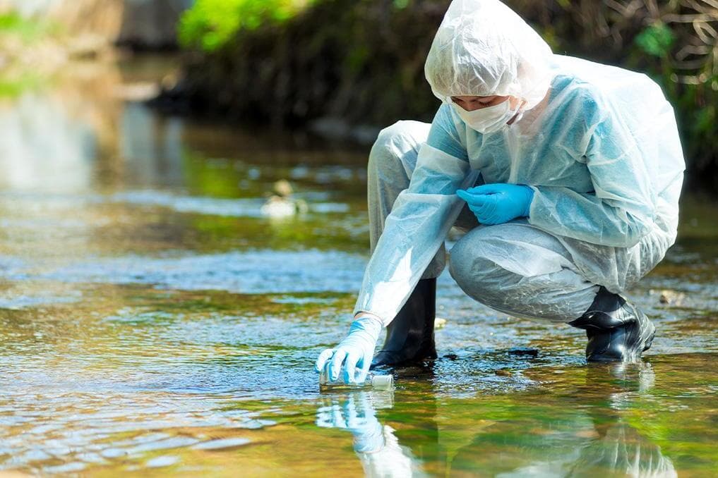 Lawmakers call for studies on chemical abortion pill pollution of environment