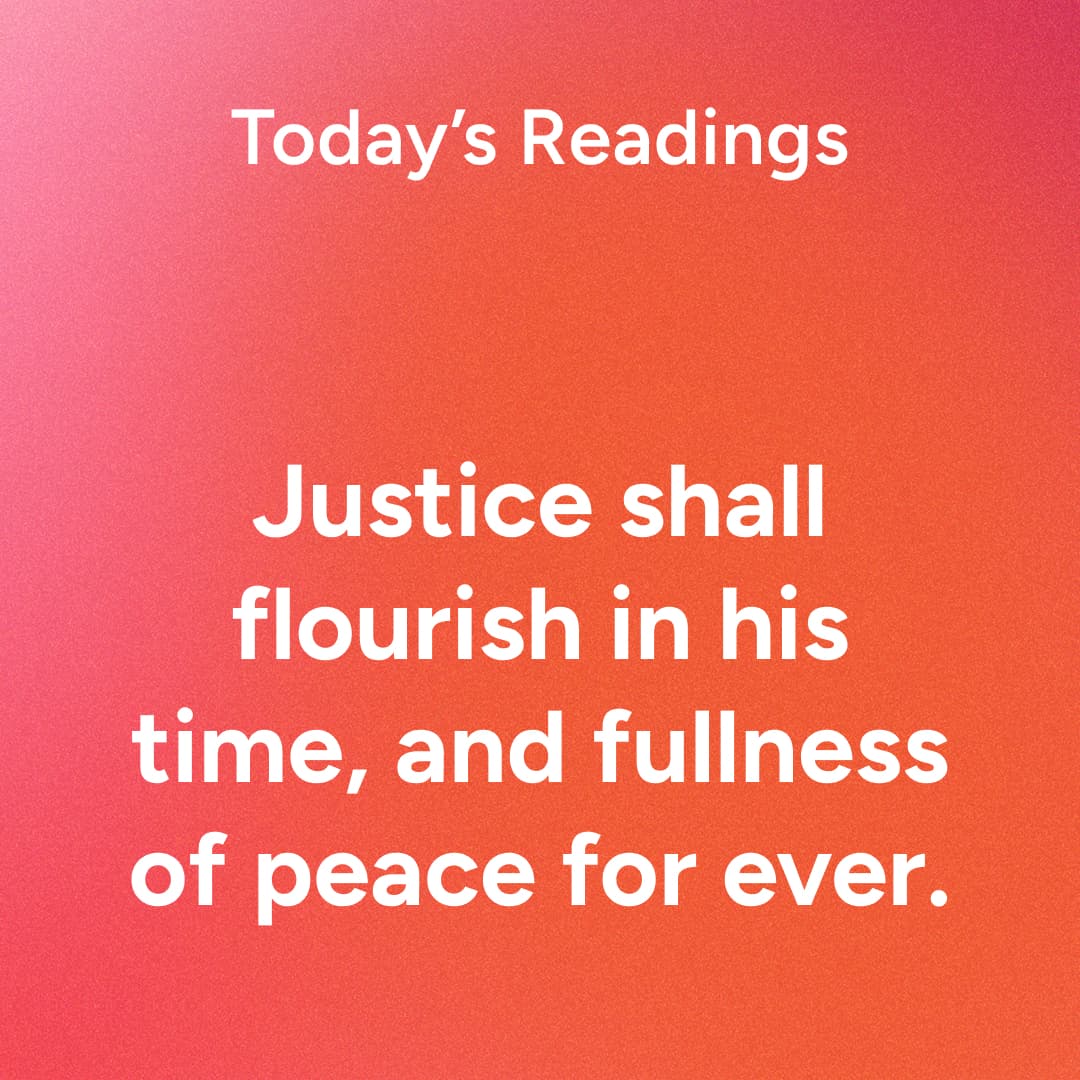 Wednesday, December 17