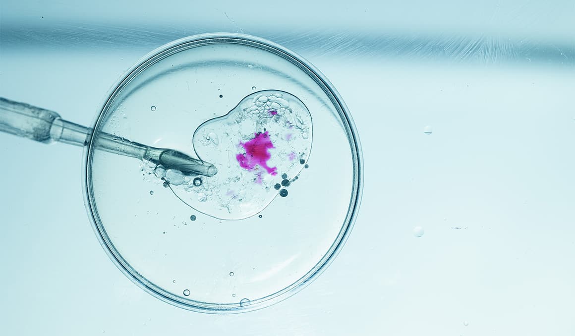 Virginia judge rules frozen embryonic humans are not ‘property’ to be divided