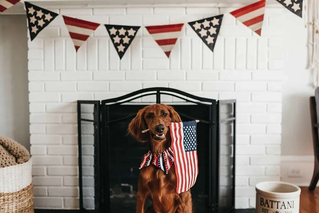 Subtle but proud patriotic decor